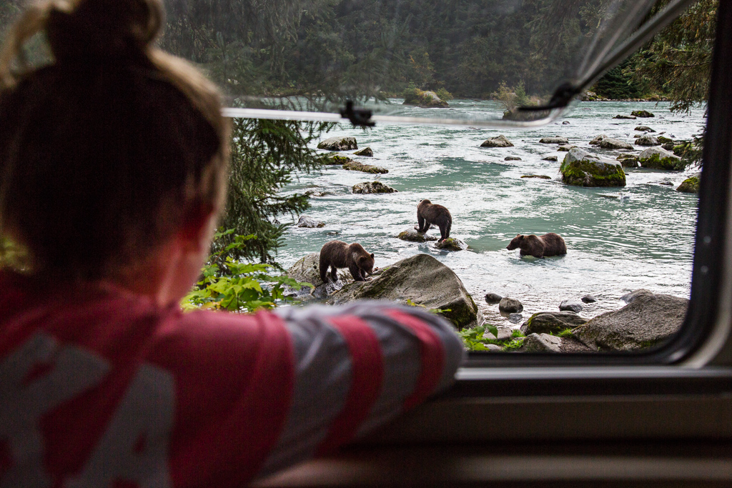 Abby watching three bears on rocks in the water from window of an RV.