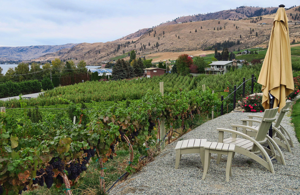 Lawn chairs overlooking the vineyard and surrounding hills.