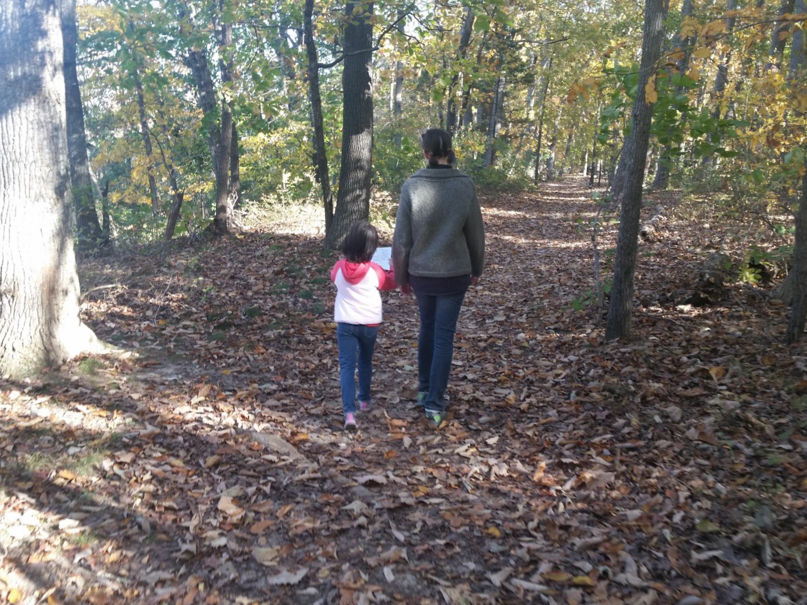 Woman and child walking through the trees on a leaf covered path.