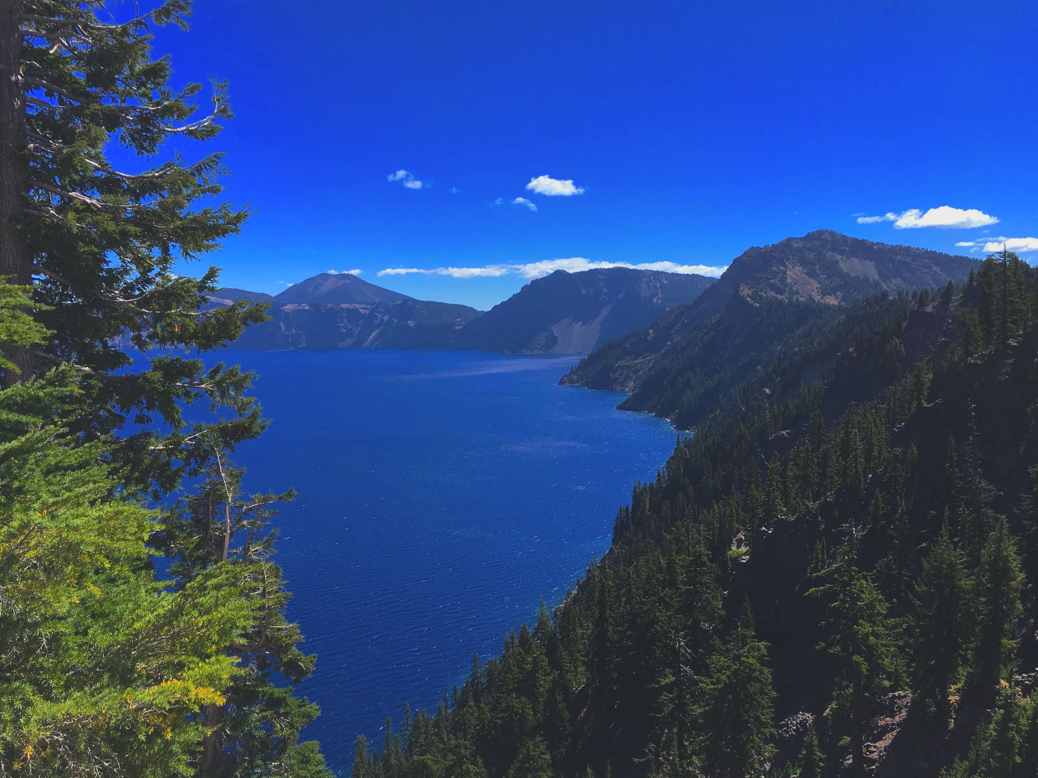 Deep blue of Crater Lake contrasted next to trees surrounding.