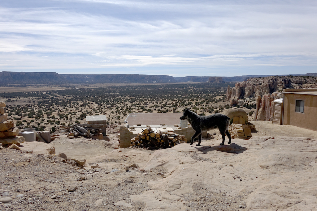 Dog walking across the top of a cliff with homes below and mountains in the distance.