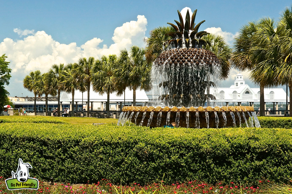 Beautiful water fountain and palm trees.