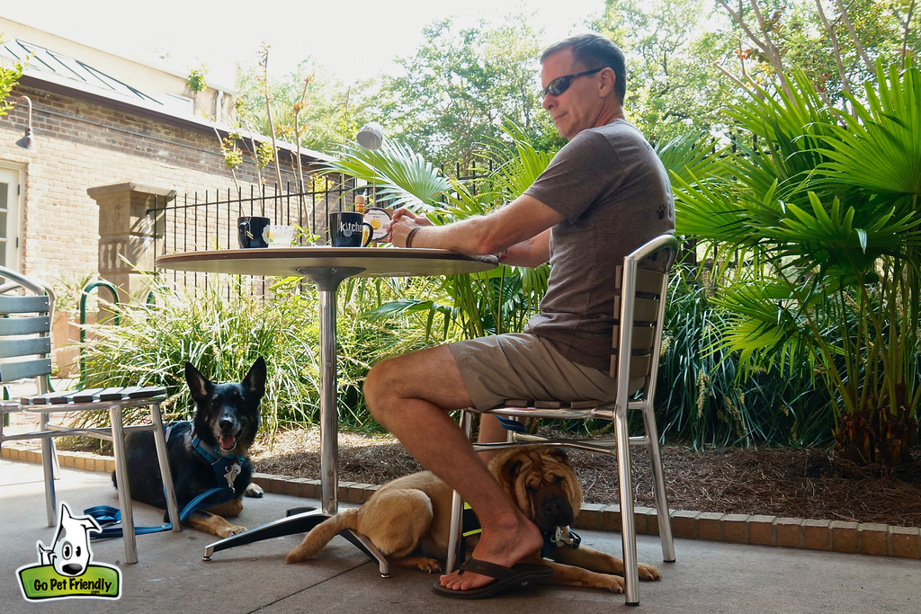 Man sitting at table drinking coffee with two dogs laying below.