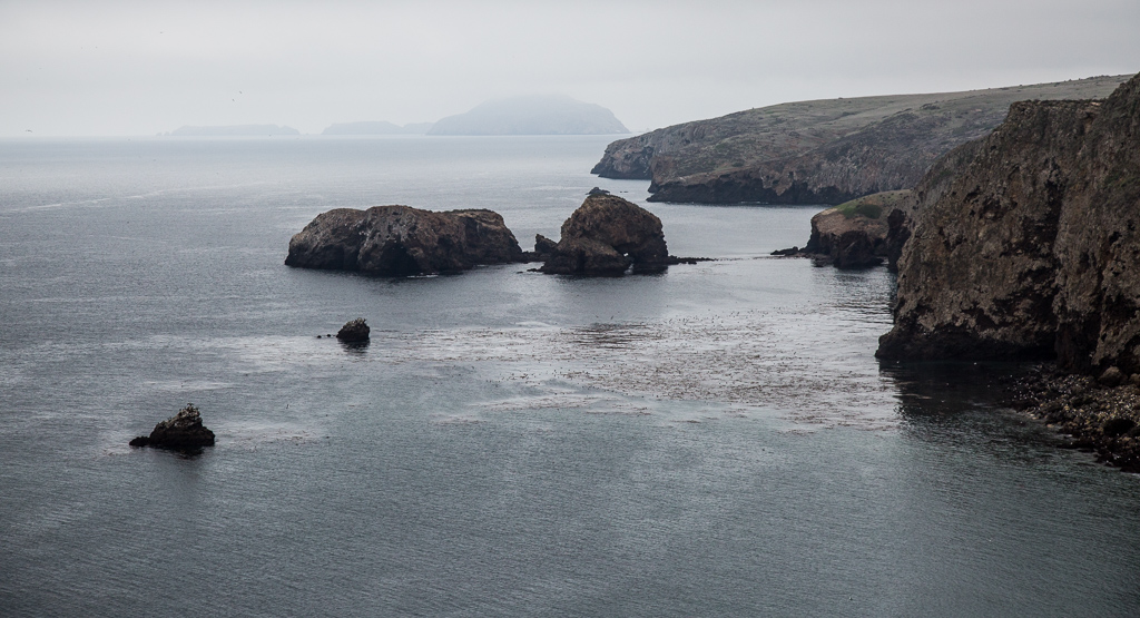 Cliffs of Santa Cruz Island against the water.