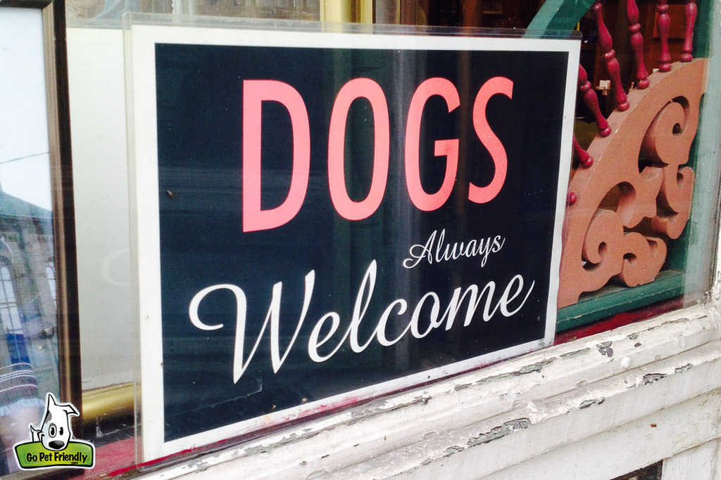 Sign in store window that reads "Dogs Always Welcome."