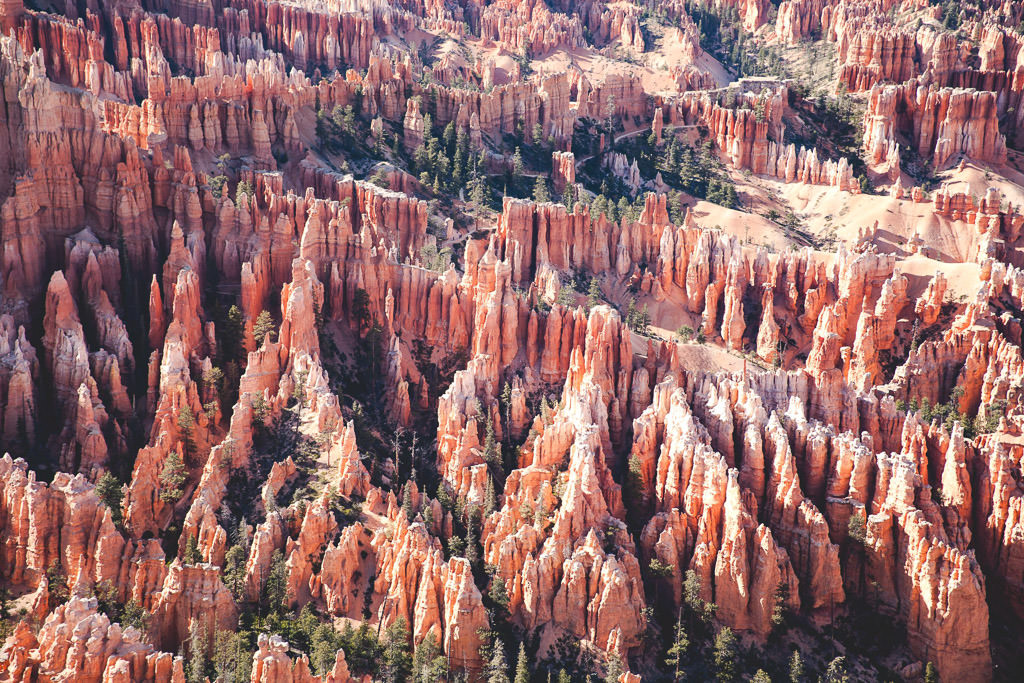 Needle-like rock formations making up Bryce Canyon National Park.