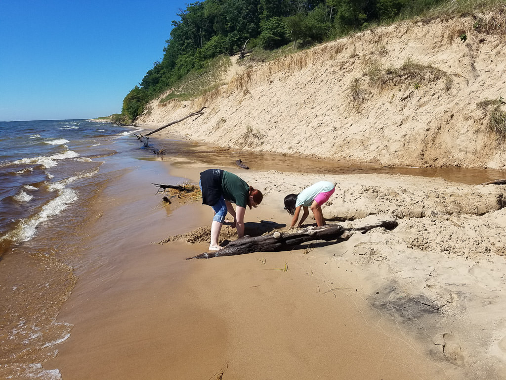 Two people digging in the sand at the beach along the water.