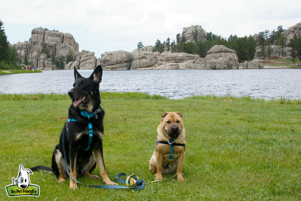 Two dogs on the grass next to the water and rock formations across the way.