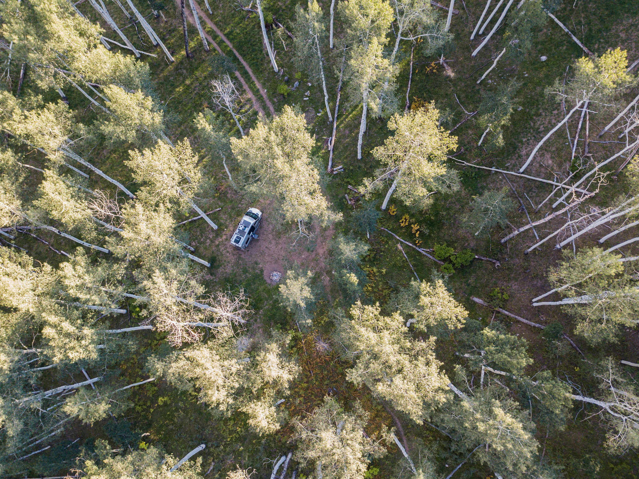 Overhead view of Winnebago Revel parked in the middle of a forest.