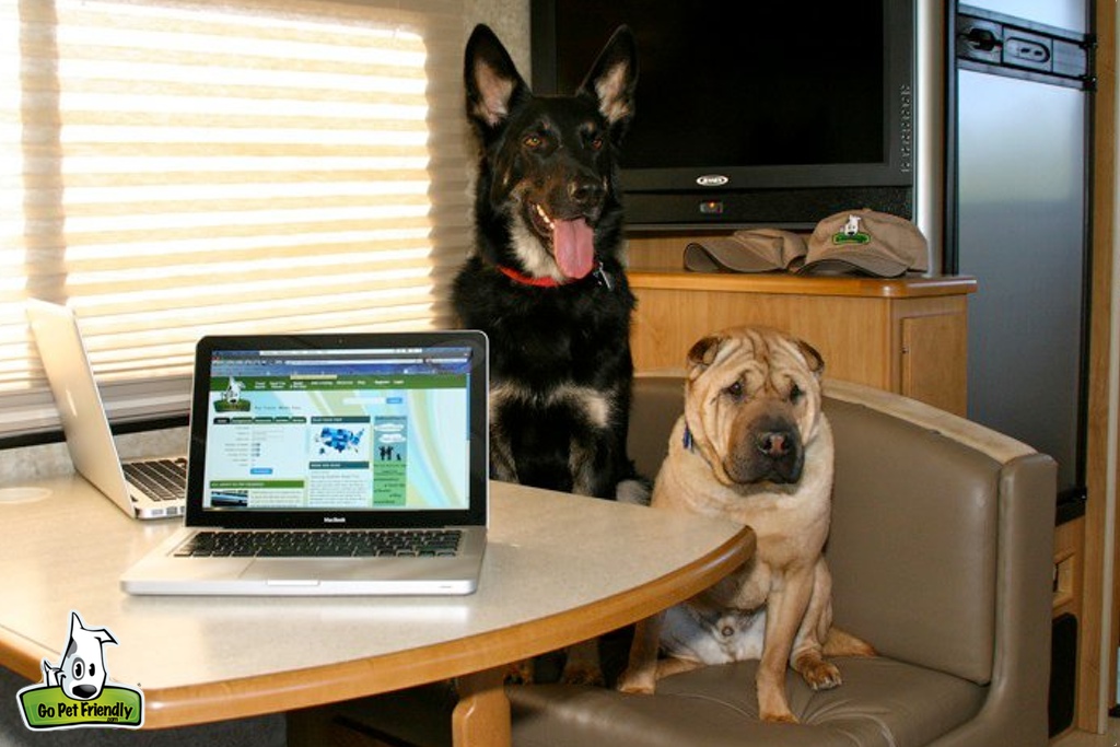 Buster and Ty sitting at dinette in front of two laptops