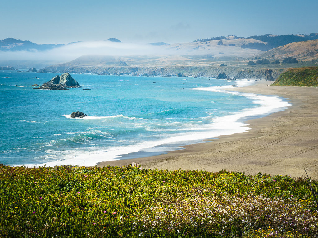 Beach surrounded by rolling hills