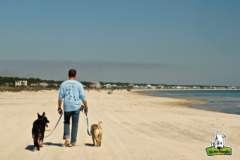 Man walking along the beach with his two dogs