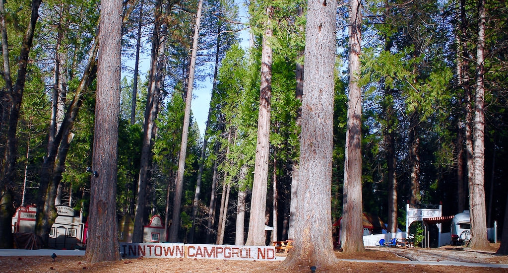 Inntown campground beneath towering trees.