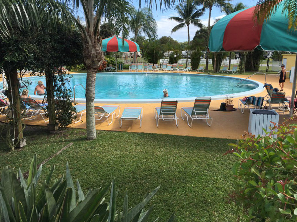 Pool at Miami Everglades RV Resort