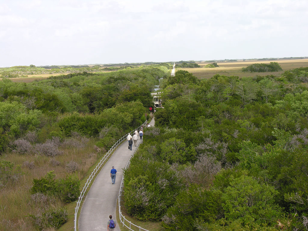 People walking on trail at Shark Valley View