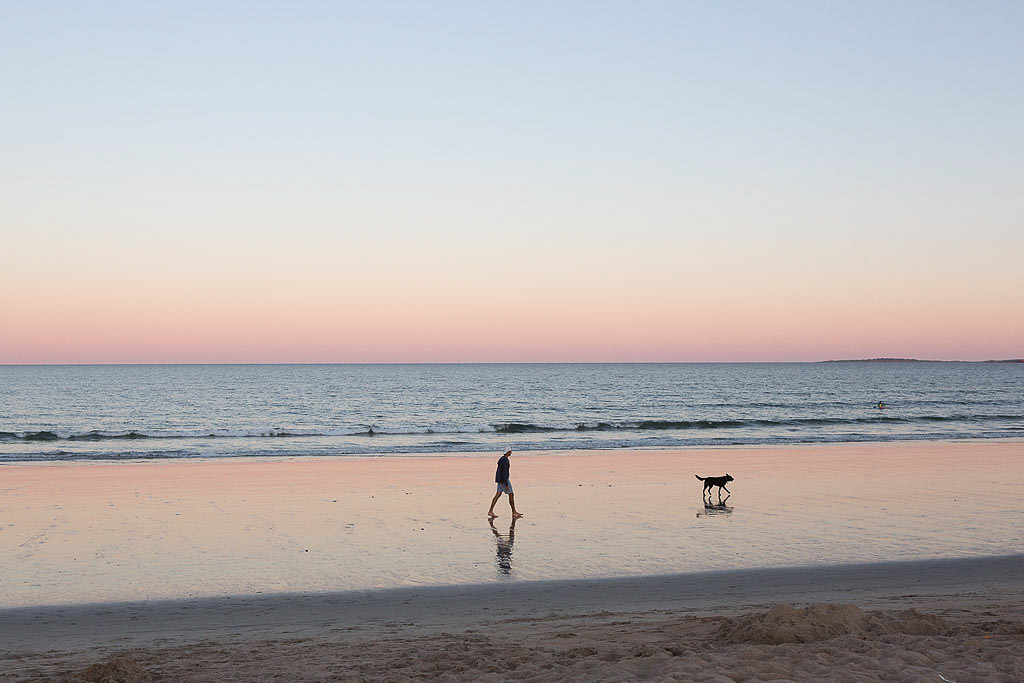 Man and dog walking along a beach
