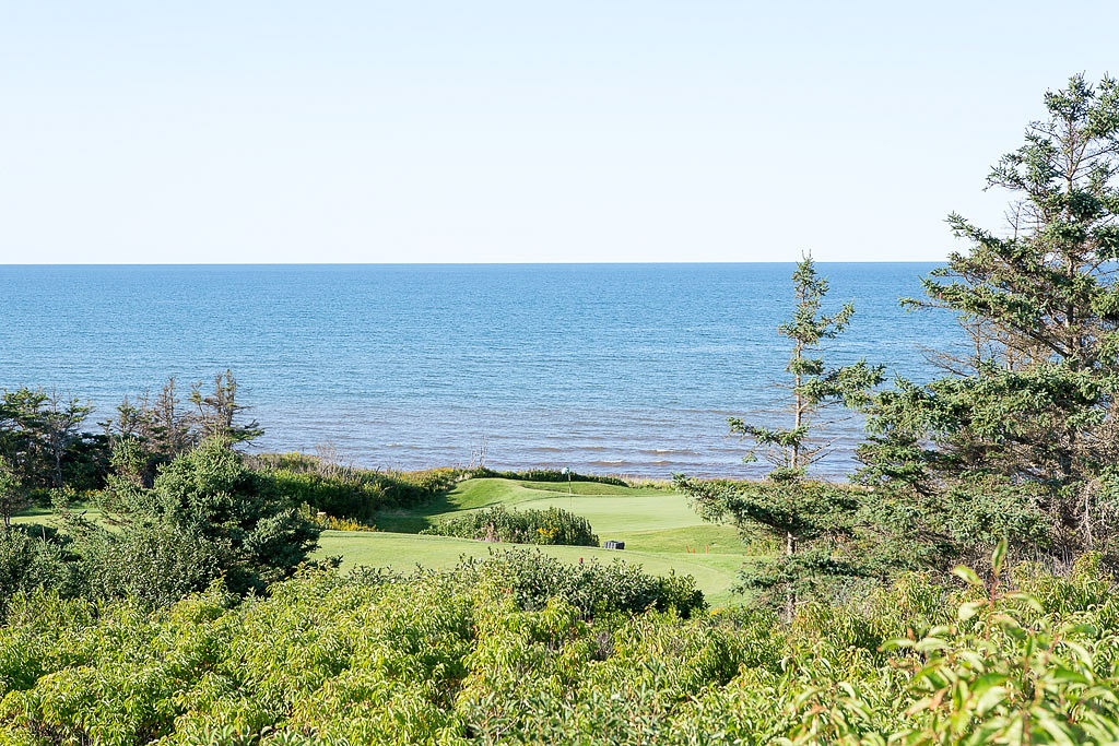 View of seaside golf course through trees