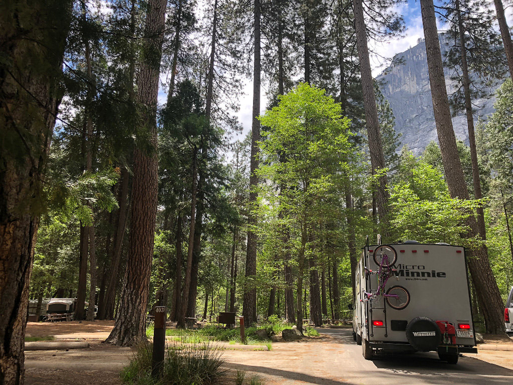 Winnebago Micro Minnie parked in campground surrounded by towering trees