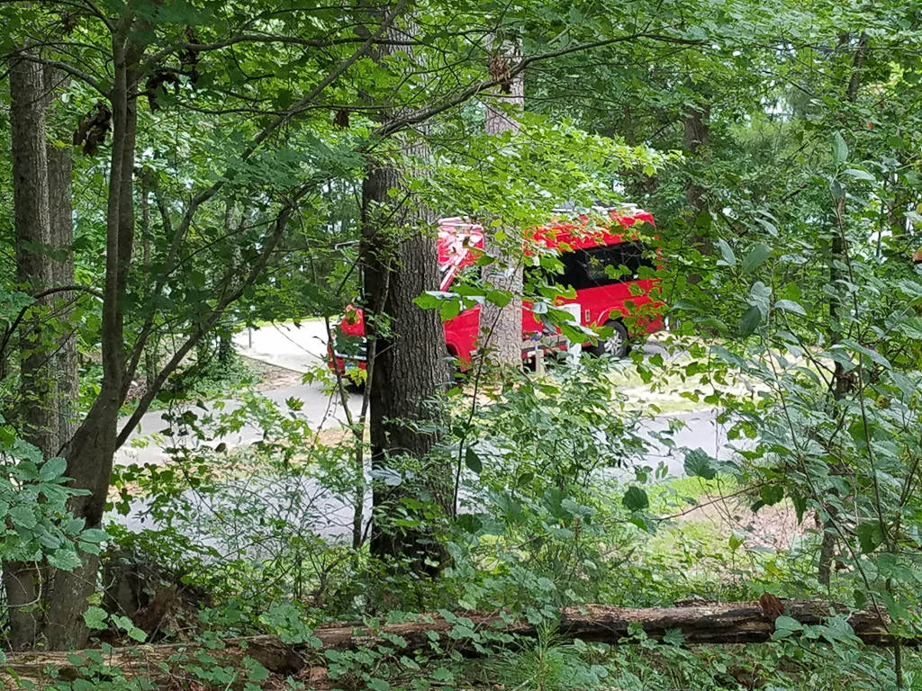 Behind the trees there is a red van
