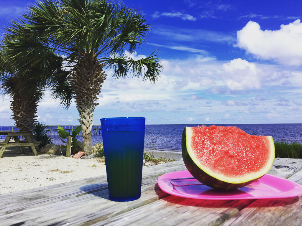Slice of watermelon on a pink plate with blue cup next to it. Palm tree and ocean are in the background