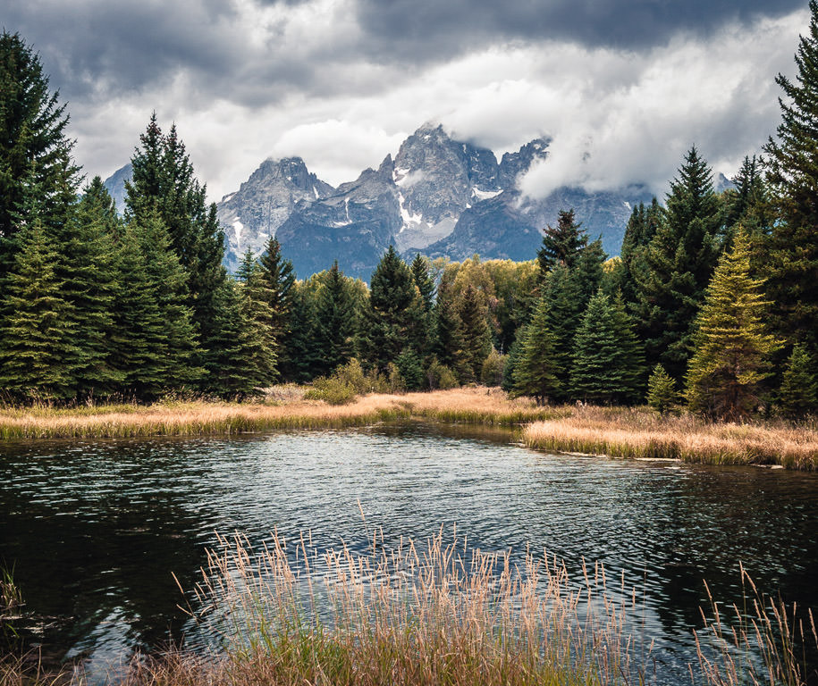 Water surrounded by trees with Grand Tetons standing tall behind the tree