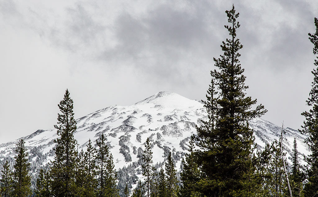 Snow covered Mt. Bachelor peaking over the trees.
