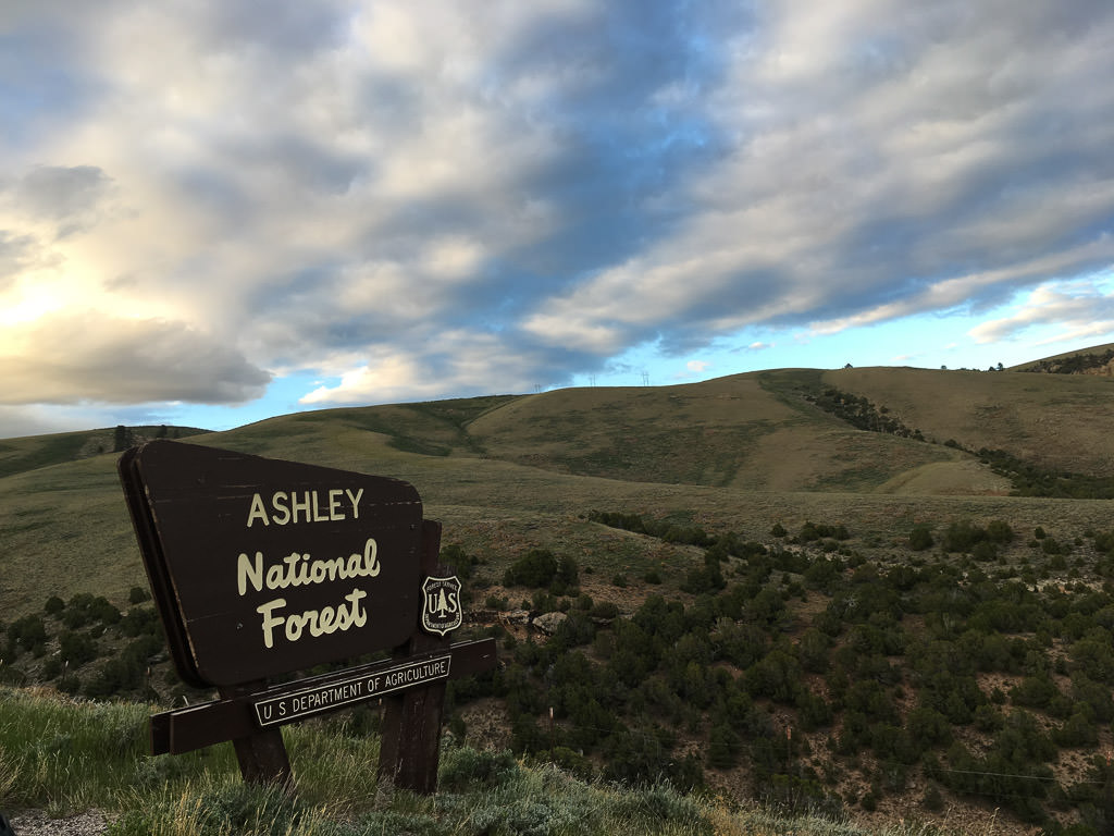 Sign for Ashley National Forest with rolling green hills behind.