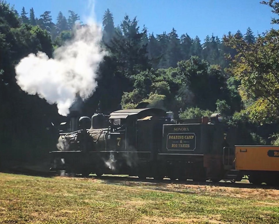 Roaring Camp train about to go through the redwoods.