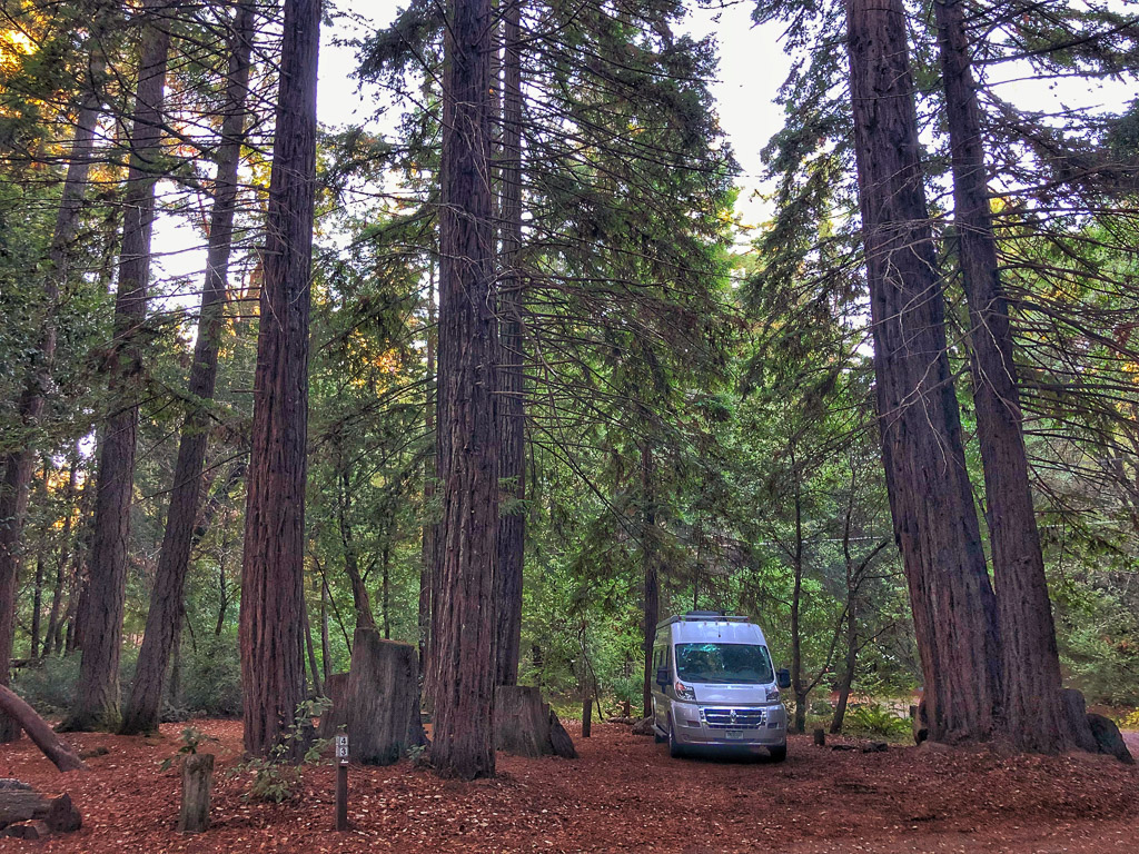 RV parked beneath the Redwoods.with the sun peaking through the trees.
