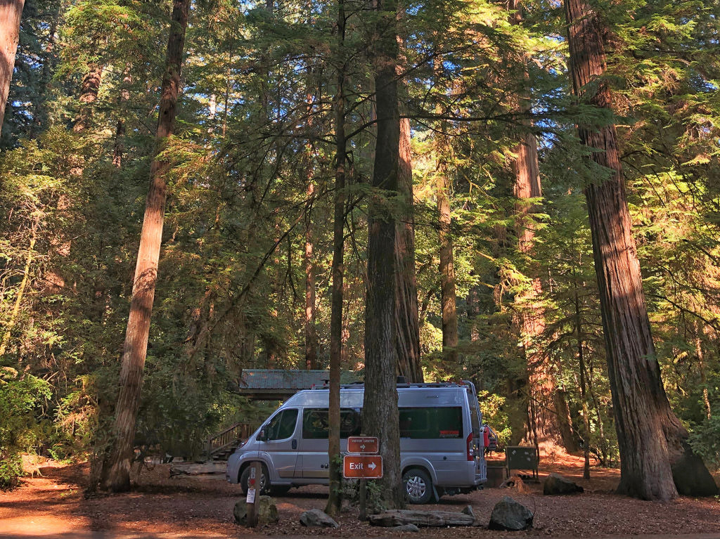 RV parked beneath the towering Redwoods.
