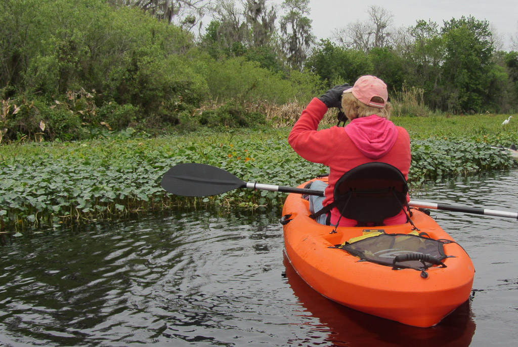 Woman in a canoe looking with binoculars into the trees lining the water. 