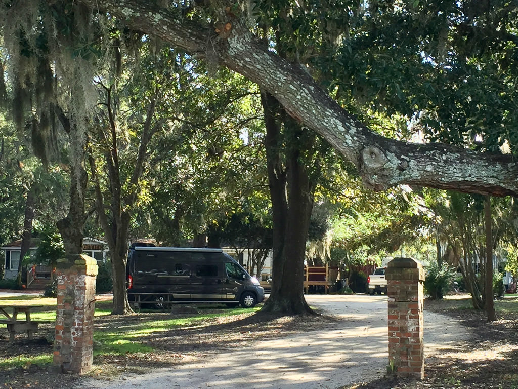 Travato parked in grass under trees at campground
