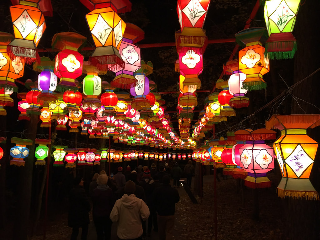 Colorful lanterns lit up at the Chinese Lantern Festival