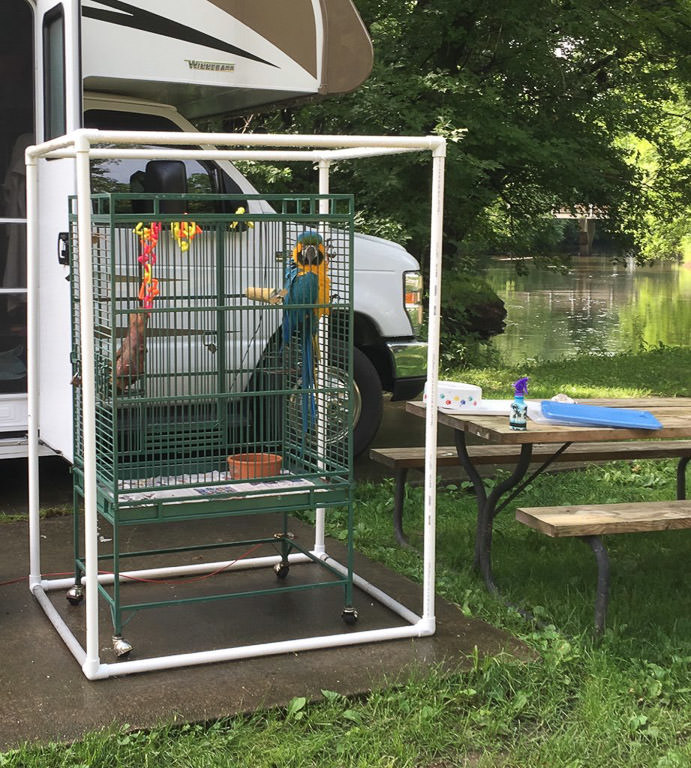 Parrot outside in cage next to RV