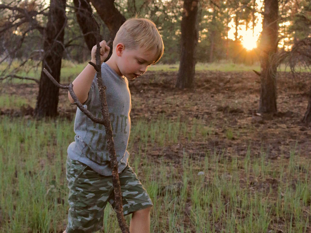 One of the boys walking through the woods holding a stick with the sun setting in the background