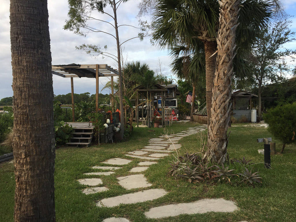 Secluded RV park among palm trees.