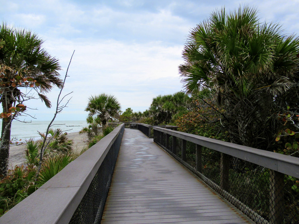 Palm tree lined boardwalk leading to the beach and ocean.