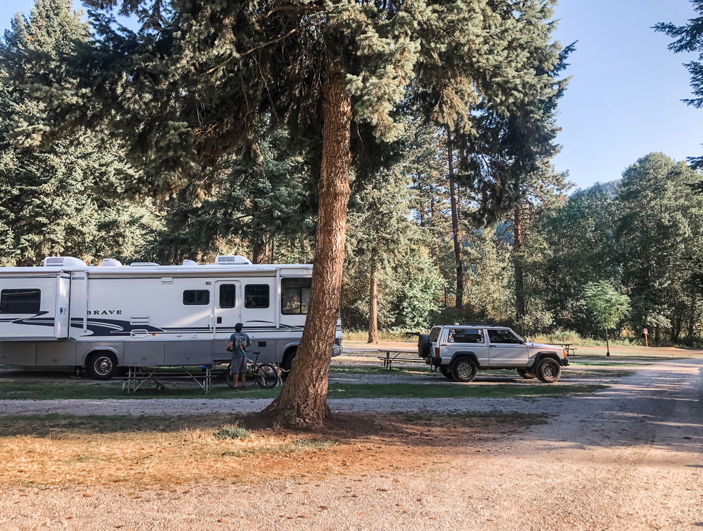 Winnebago Brave parked in campsite surrounded by trees.